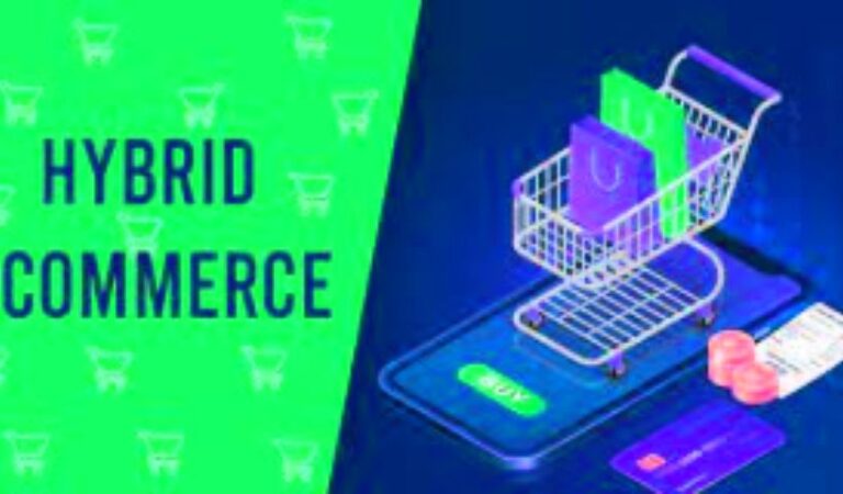 Is Hybridization The Definitive Solution For Ecommerce?